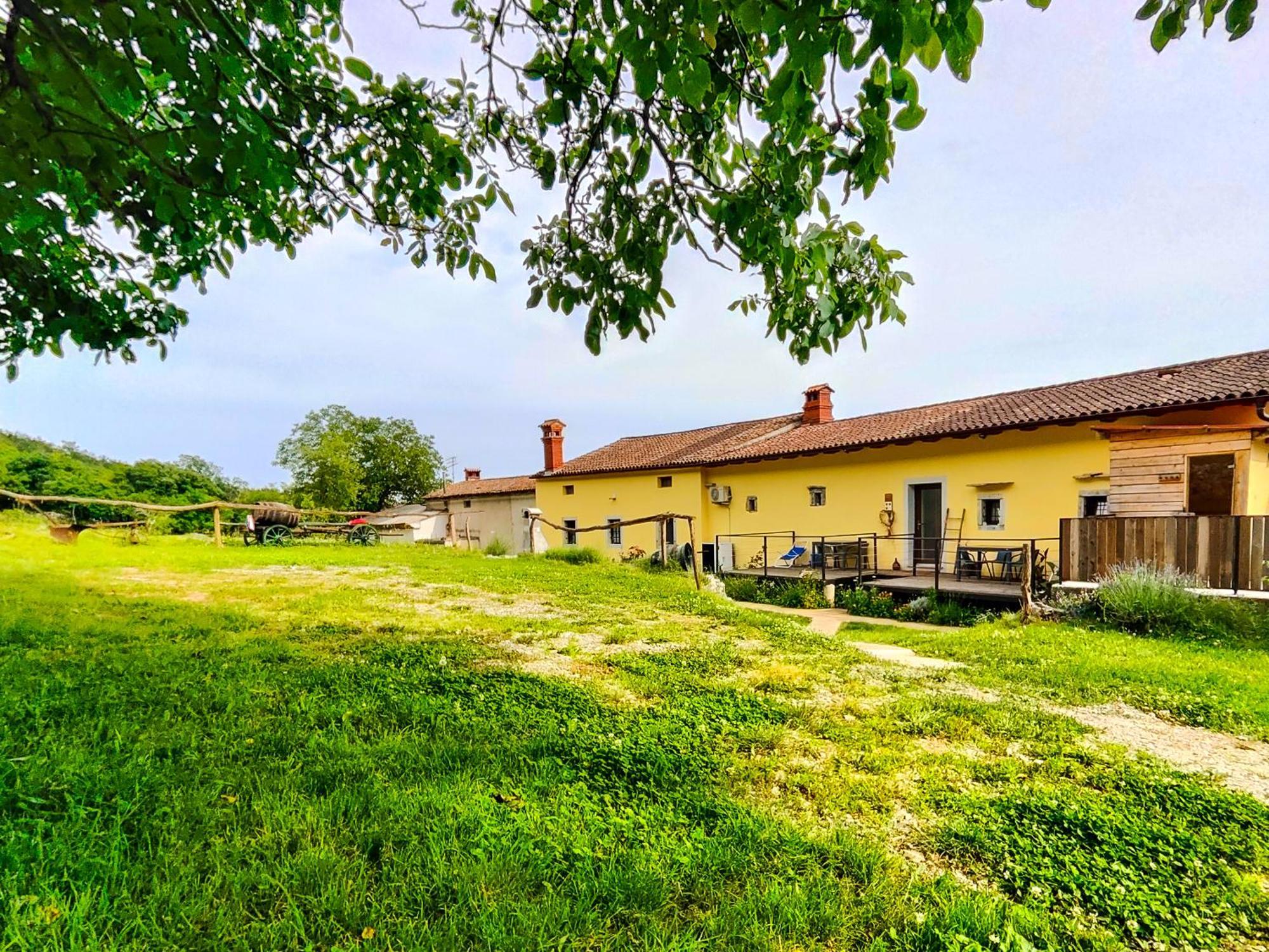 Homestead Zavadlal - Domacija Zavadlal Komen Kültér fotó